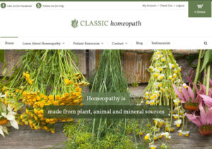 Responsive Website Design