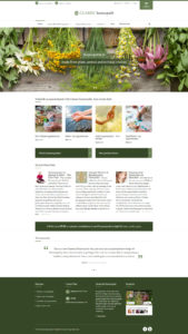 Responsive Website Design